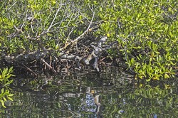 加勒比海—天堂般的存在