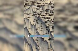 那些在航道盲区消失的船，为何要用反向书写才能找回真相？