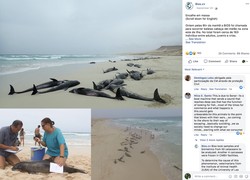 当鲸鱼的歌声在废弃矿井里回荡丨那些令人心碎的碎片