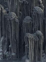 那团吞噬了信号的“黑雾”—西伯利亚黑匣子残片亲历记