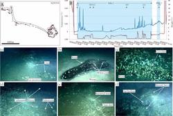 海底传来巨响，我差点以为是地震！