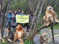 深山迷雾里的海妖丨为什么你会梦见神农架的神秘生物？