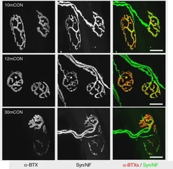 穿越时空的旧磁带·揭秘磁异常带引发的时空紊乱之谜