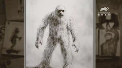 雪山航路的神秘触手—冰川与气流的奇妙交响