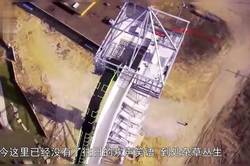 在废墟中寻找生命的奇迹丨动物迁徙与废弃游乐园的奇妙交织