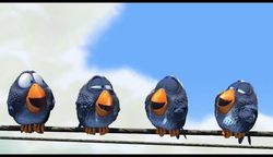 那只在雨夜里飞过的无情鸟？