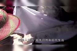 神秘的非洲尸巫·揭开祭祀背后的科学与文化之谜