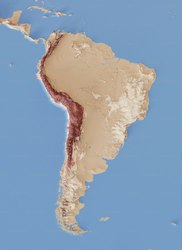 你以为的海蛇，其实是南美时间的“时间刺客”？