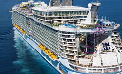 加勒比海的阳光里，藏着一群不晒太阳的人！