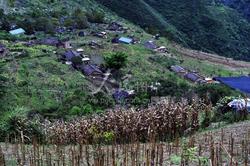 悬崖村的圆盘总在深夜鸣响，我终于听懂了它的声音？