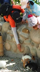 那些漂浮在太平洋上的谜团—复活岛陶罐刻文与巨石的秘密