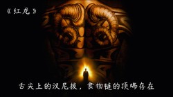 北美红龙鱼·名字吓人，却是温柔的滤食高手