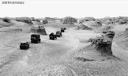 罗布泊的红粉去哪儿了？