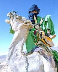 撒哈拉沙漠里的"独角兽"—一场关于生命奇迹的自然启示