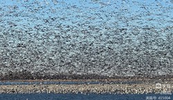 在那座雪山天坑里，我看见了死亡的盛大巡游！