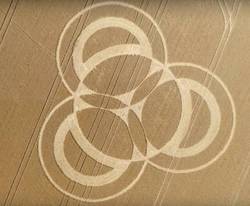 南海麦田怪圈丨神秘圆圈背后的真相大揭秘