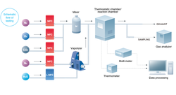 马达加斯加全息原理报告｜当岛屿的生态成为宇宙的缩影