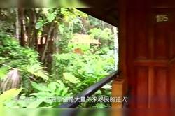 雨林深处的红粉：我见过的“镜像人”和那抹不该存在的红色