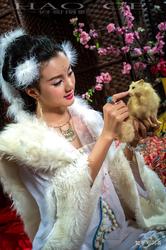 老街剃头铺里的白狐客？