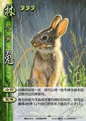 迷失的忠诚与智慧·三国中的动物智者