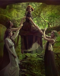 森林里的神秘隐身术｜揭秘自然界的神奇现象