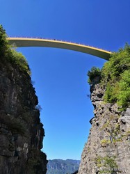 神农架地龙翻身丨地下“风暴”预警，蚯蚓为何比气象台还准？