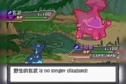 远古巨龟：地球生命长卷中的瑰宝