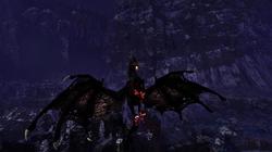 神农架的“梦魇马”丨真实存在还是古老传说？