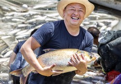 南极丰收人鱼·为何能 year-round 鲜美多收？