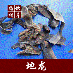 揭秘远古东方地龙的神秘面纱…