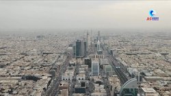 穿越千年的神秘生物—中东狮鹫之谜