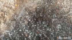 废弃机场的石气球碎片，像被时间遗忘的标本！