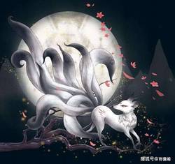 北美迷宫九尾狐？这其实是大自然的“迷宫实验”！