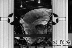 罗斯威尔的秘密丨阿根廷档案里的惊天真相