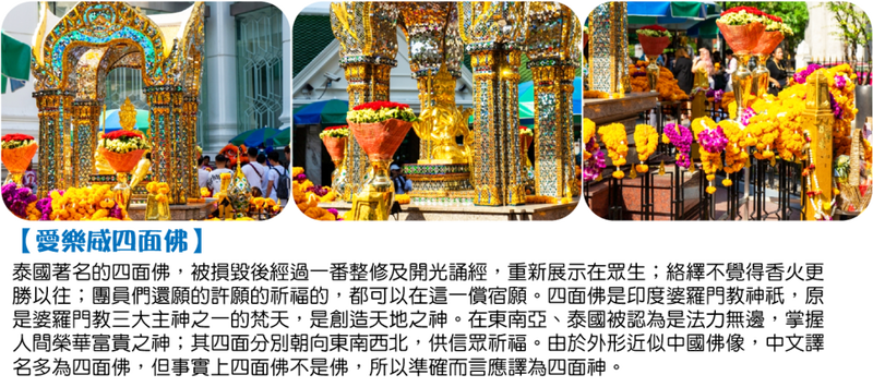 亚马孙雨林的沙元素·一场意想不到的丰收