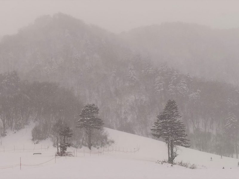 青雪故事茅山后裔第三季:雪落茅山时 青雪故事茅山后裔第三季:雪落茅山时