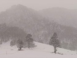 青雪故事茅山后裔第三季：雪落茅山时
