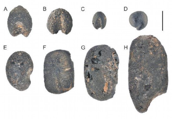华盛顿发现源头能量·一场静悄悄的革命