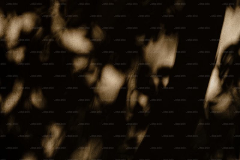 黑森林的幽灵丨石像残件与仪表的谜题