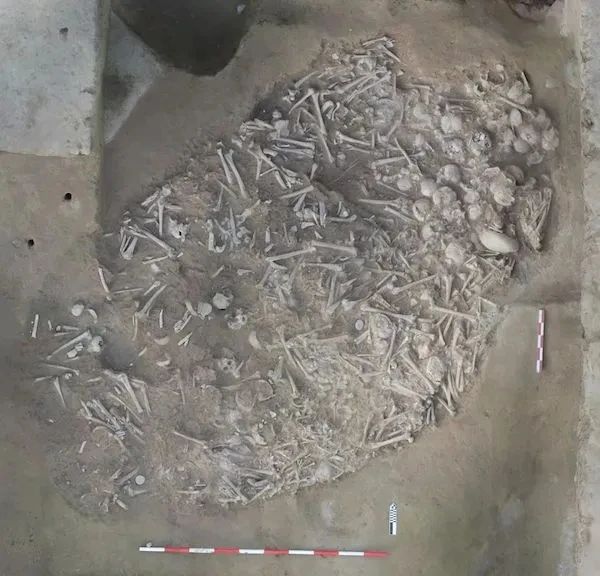 深夜走鬼城，石头会发光，我差点以为自己疯了！