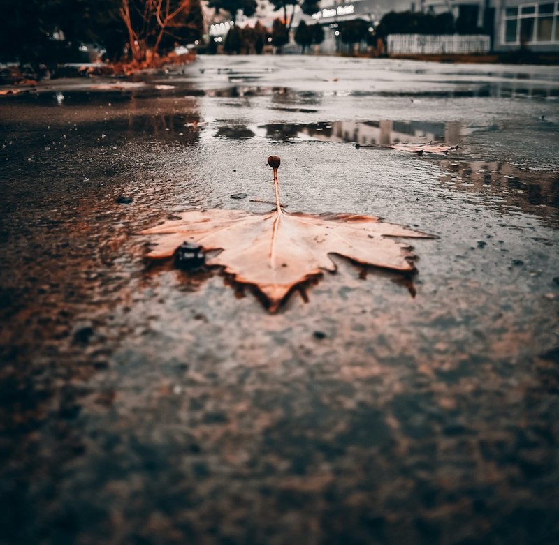 雨后小故事谁做的！