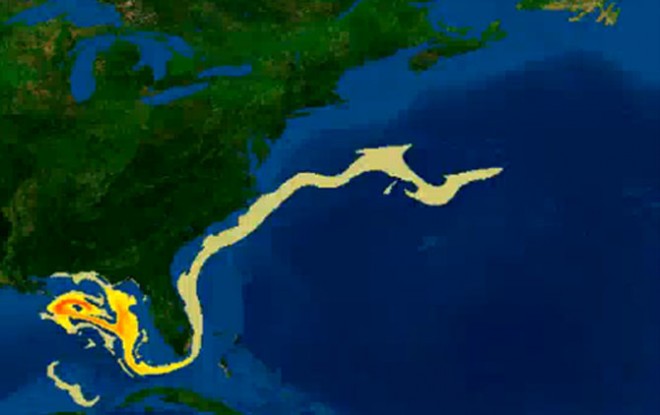 墨西哥湾深处的神秘地下世界丨揭开海洋之下的秘密 墨西哥湾深处的神秘地下世界丨揭开海洋之下的秘密