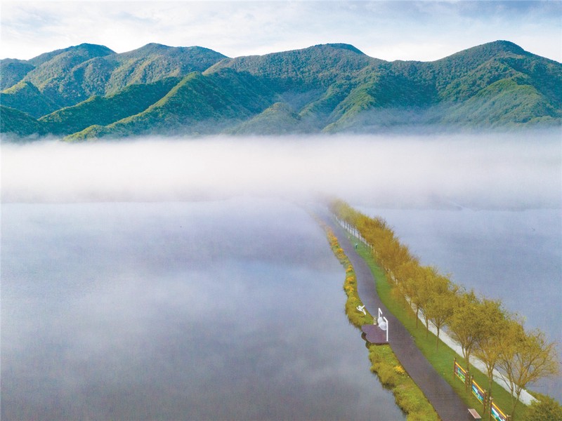 湖泊麒麟瘟疫丨一场生态危机的反思 湖泊麒麟瘟疫丨一场生态危机的反思