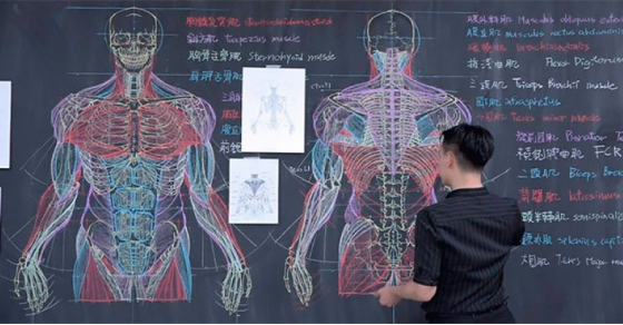 揭秘台湾外星人解剖真相丨一场跨越时空的谜案