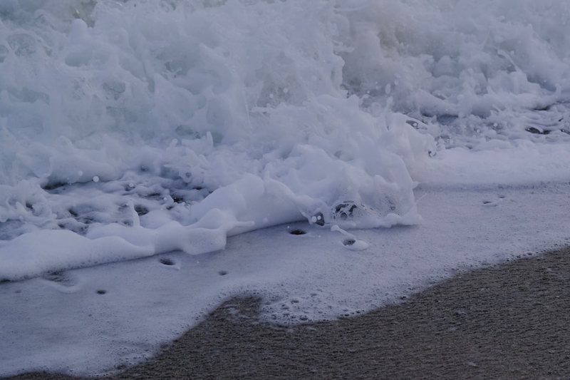 地中海双头犬冰霜·冰封世界的守护者