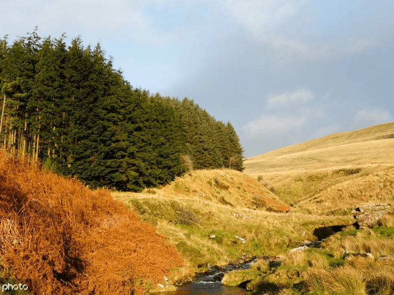 冰川雨林克拉肯丨史前海洋巨兽的秘密