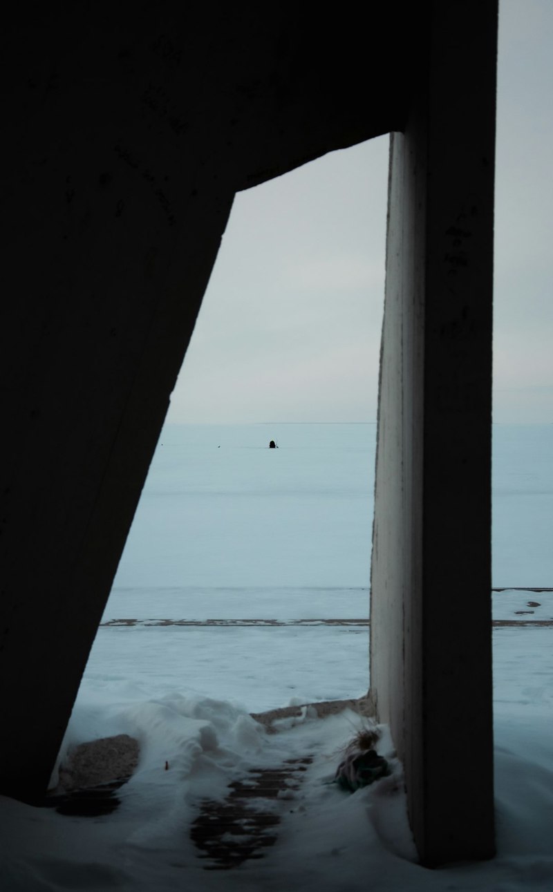 海底热泉中的反向指南针…