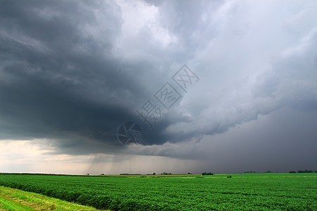 那种要把天捅个窟窿的荒芜·我在北美荒原听过的雷声 那种要把天捅个窟窿的荒芜·我在北美荒原听过的雷声