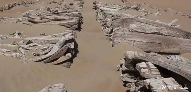 在时间的尘埃中寻找罗布泊的秘密…