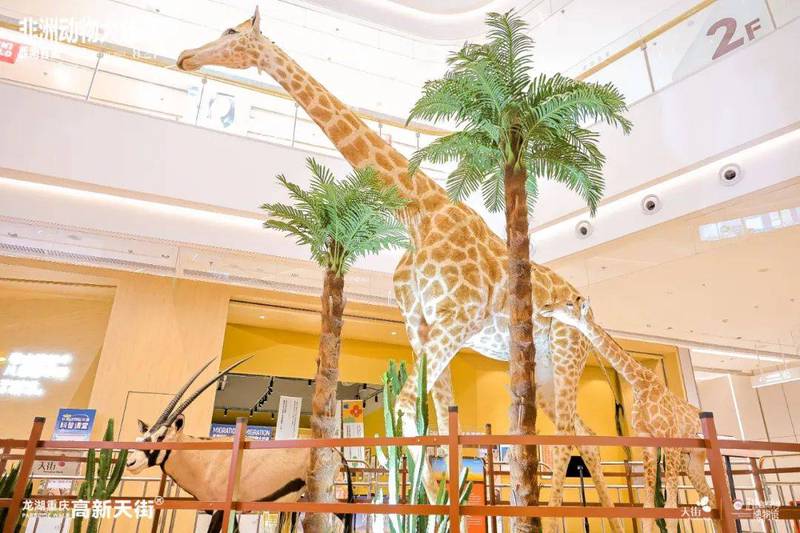 航道盲区·动物迁徙的谜团与古老文明的呼唤